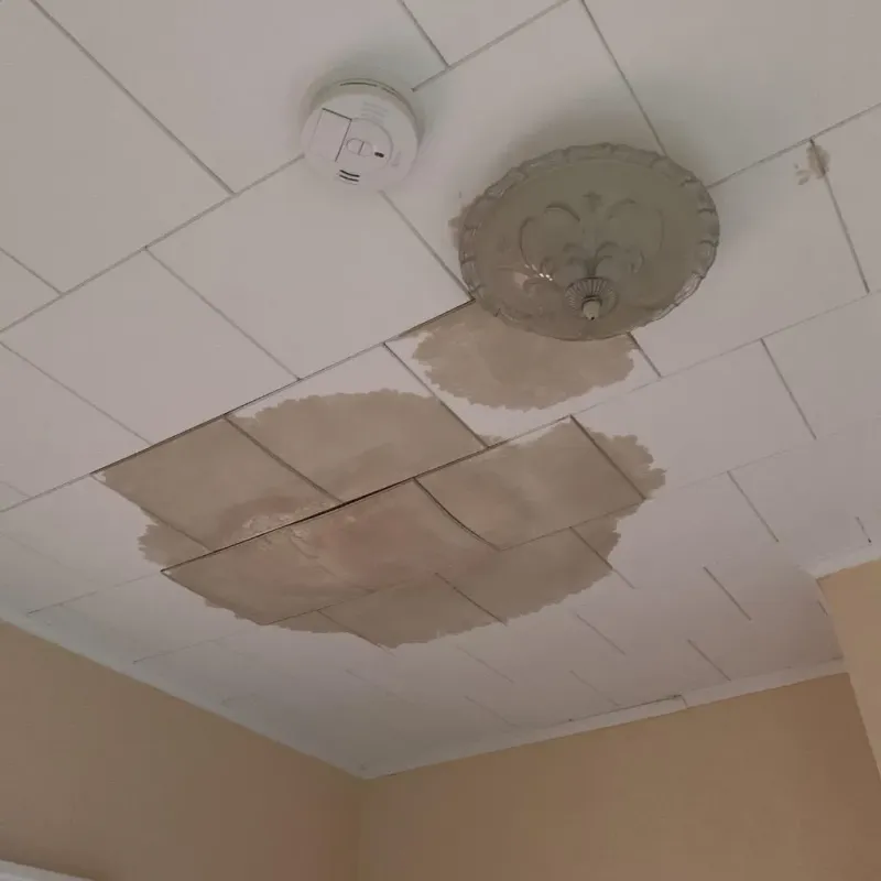 Ceiling Water Damage Repair in Grand Forks County, ND