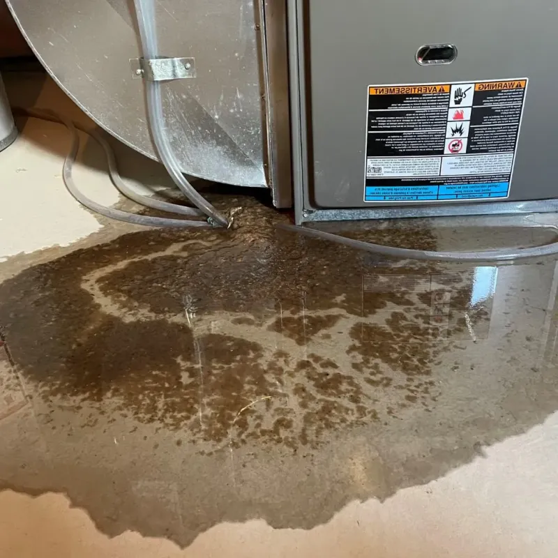 Pipe Burst and Leak Restoration in Grand Forks County, ND